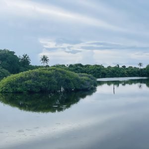 Addu City