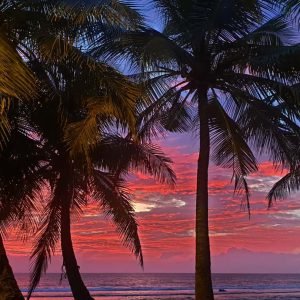 addu city10