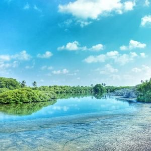 addu city2
