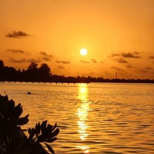 addu city5