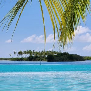addu city6