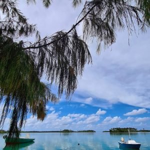 addu city8