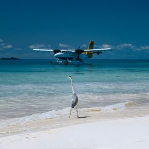 our Maldives family vacation packages includes return transfers by seaplane too