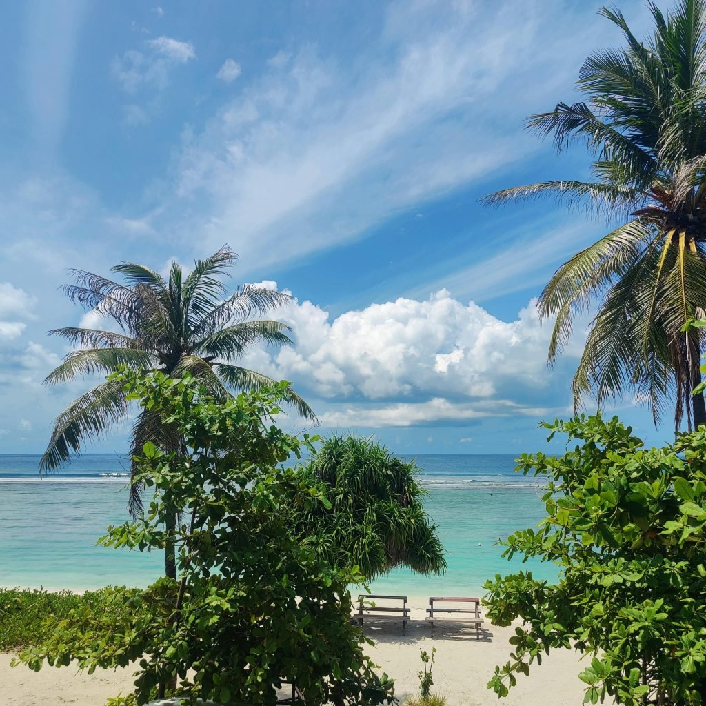 the beauty of local Island, the beach, the clamness